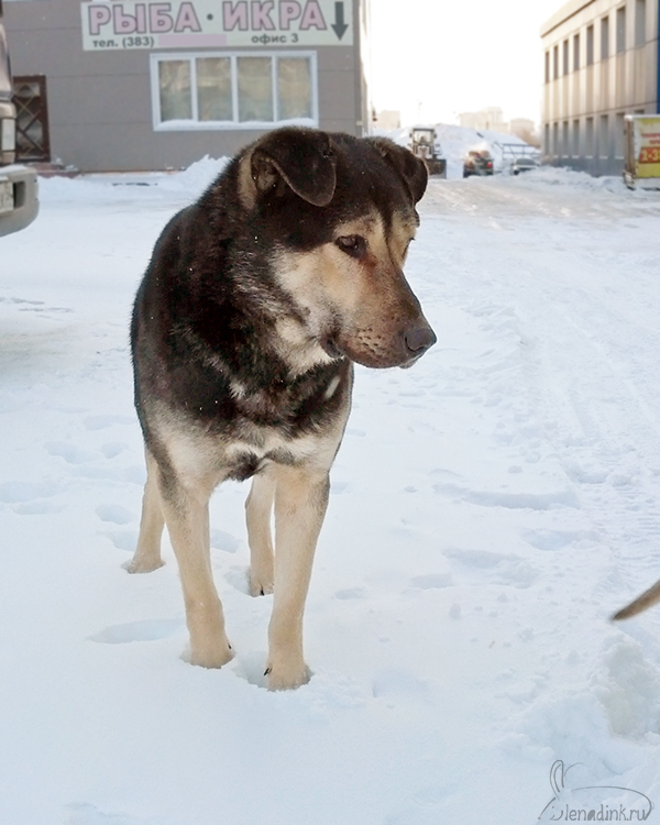 IMG_20150103_112220web