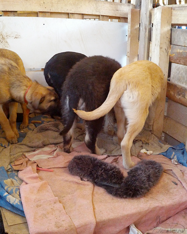 IMG_20150103_122651web