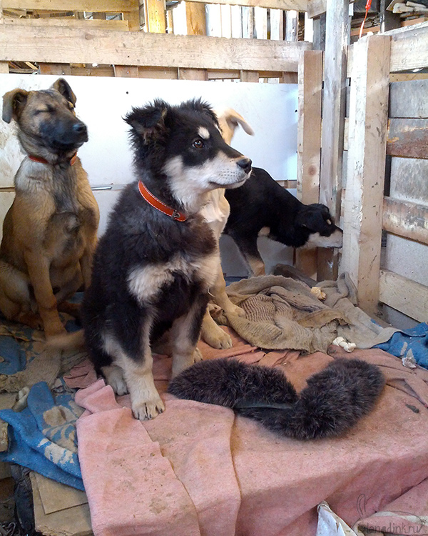 IMG_20150103_122708web