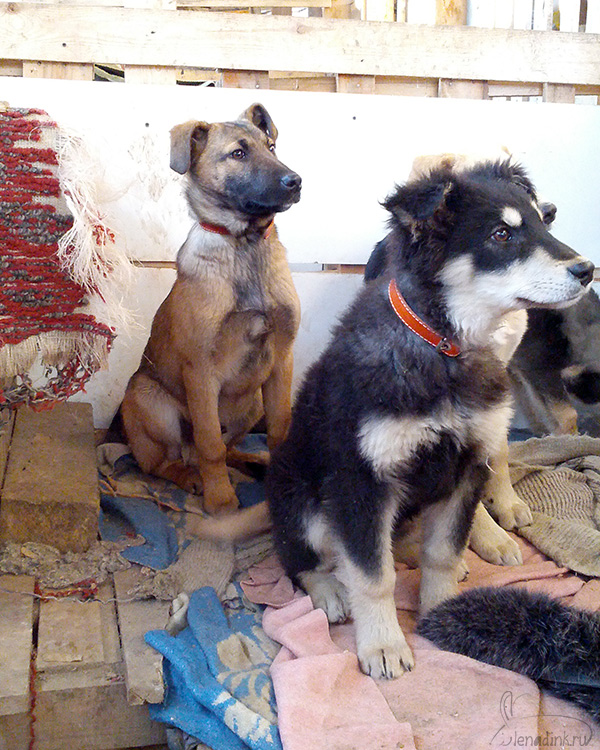 IMG_20150103_122712web