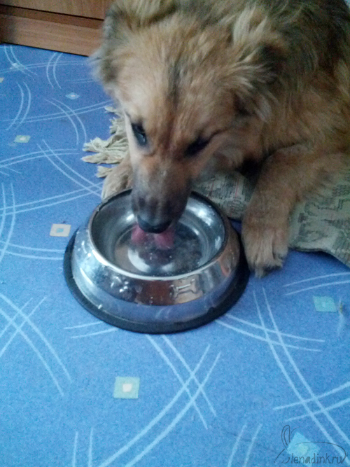 2015_0208_162237_1web